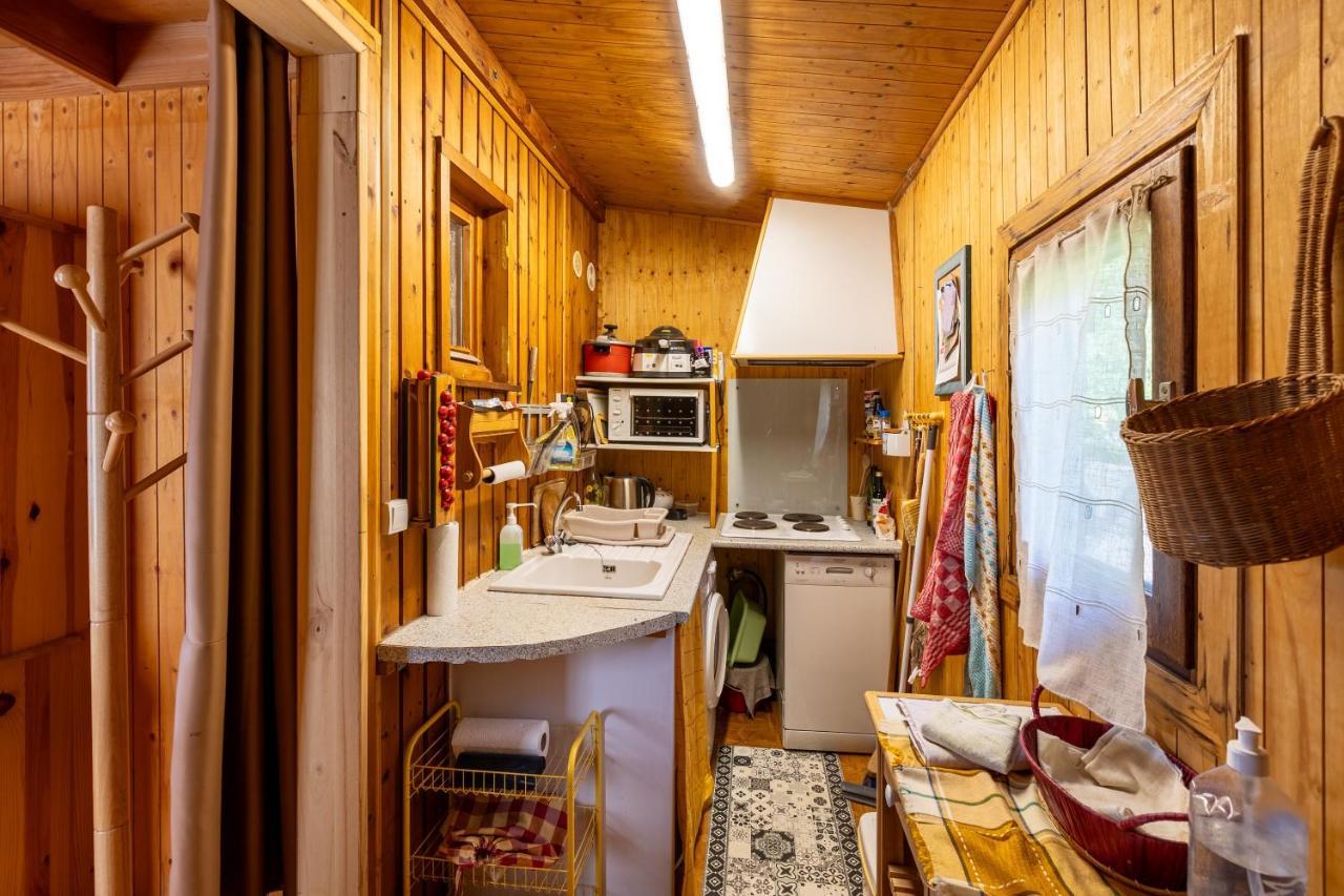 Chalet Serenite - Tranquillite Et Tres Belle Vue Puyvalador Dış mekan fotoğraf